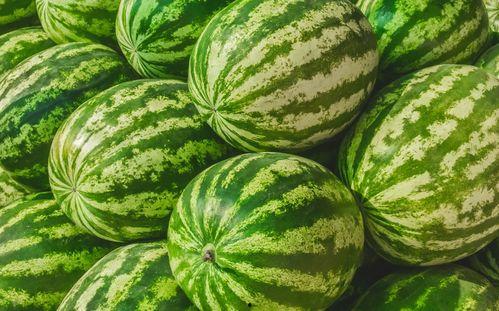 在哪找吃瓜的视频素材,揭秘各大平台吃瓜视频素材搜集攻略