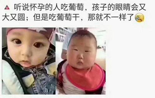 吃瓜舔屏搞笑视频在线观看