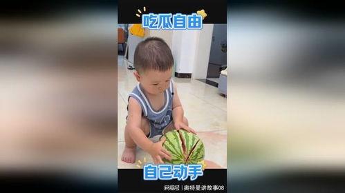 萌娃吃小瓜视频大全集