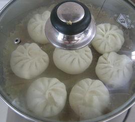 吃角瓜馅包子视频大全,吃角瓜馅包子视频大全，教你轻松学会传统美食制作