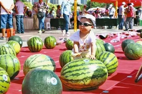 西藏网红网红吃瓜视频网站大全