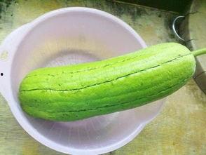 水瓜怎么切均匀吃的视频