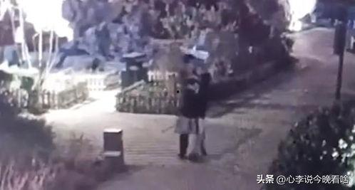 乌镇吃瓜事件视频,一场网络狂欢背后的真相揭秘